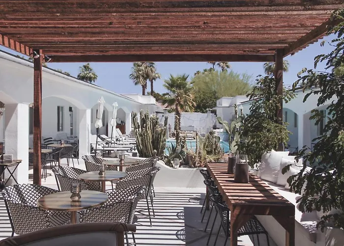 Top Pet Friendly Hotels in Palm Springs